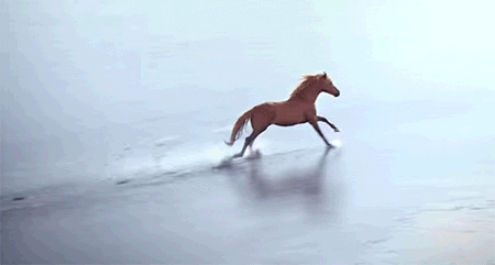 Gracefully Galloping Horse #2