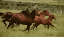 Gracefully Galloping Horse #10